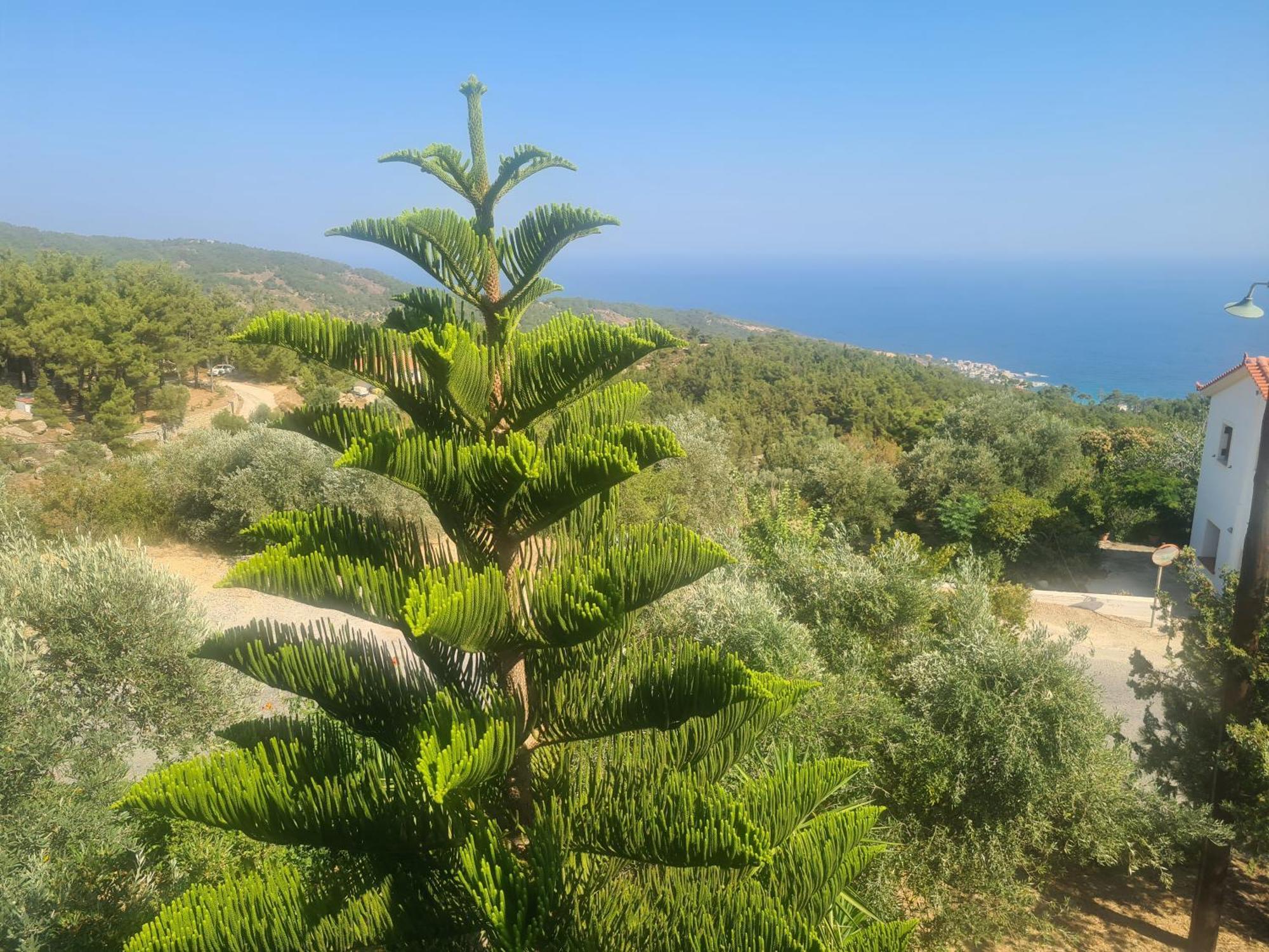 Spitikariotiko Panoramic Home Raches  Bagian luar foto
